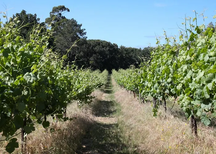 Quinta De Chousas - Braga - Agroturismo