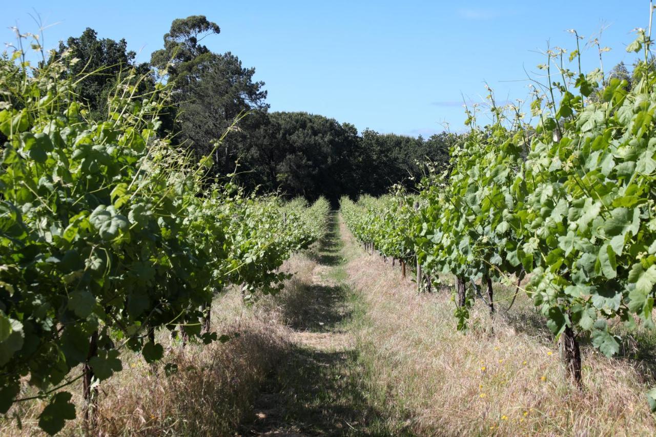 Séjour à la ferme Quinta De Chousas - - *