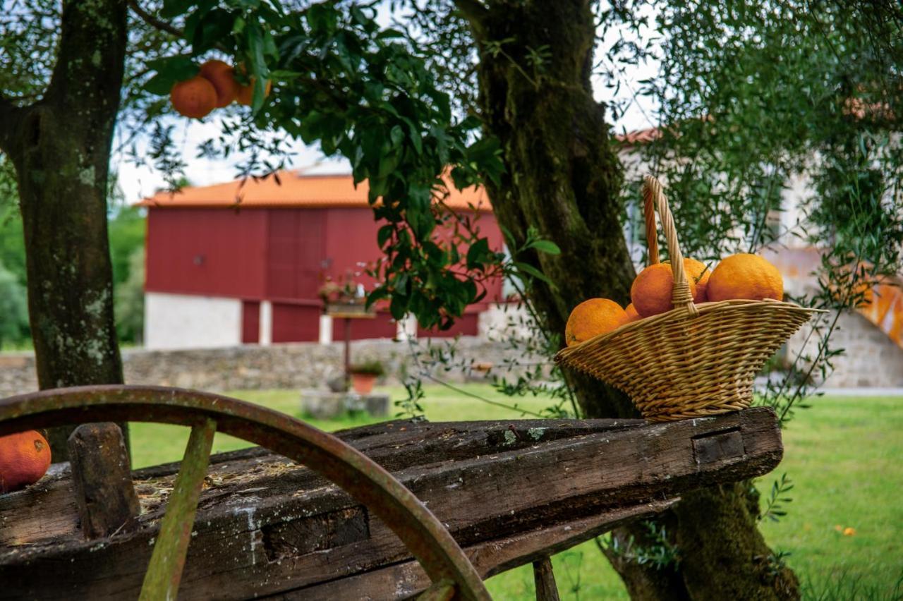 Séjour à la ferme Quinta De Chousas - - Braga