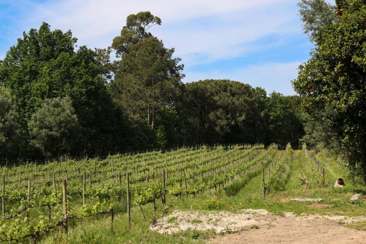 Quinta De Chousas - - Braga